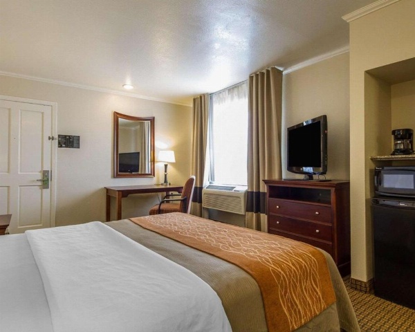 Blu Pacific Hotel image 11