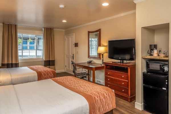 Blu Pacific Hotel image 26