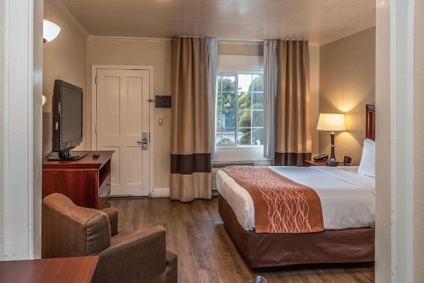 Blu Pacific Hotel image 27