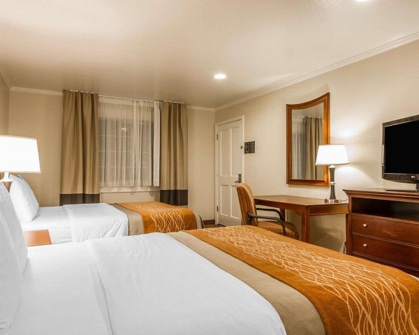 Blu Pacific Hotel image 7